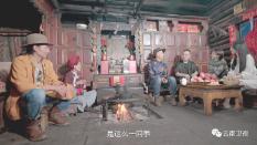 探索植物大战僵尸虫虫助手修改器,解决你的疑惑